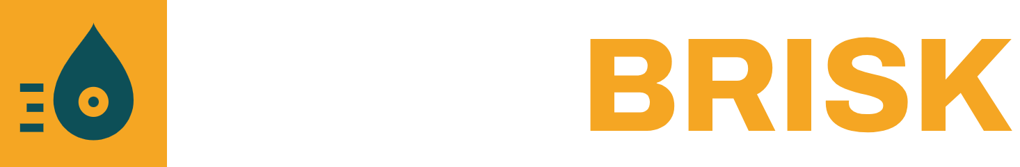 Bike Brisk logo for dark backgrounds